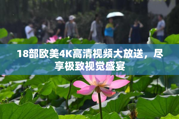18部欧美4K高清视频大放送，尽享极致视觉盛宴