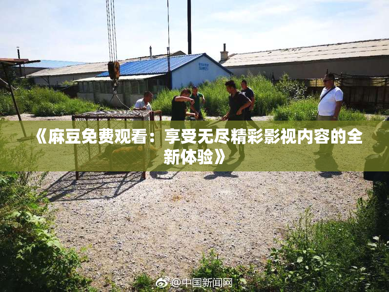 《麻豆免费观看：享受无尽精彩影视内容的全新体验》
