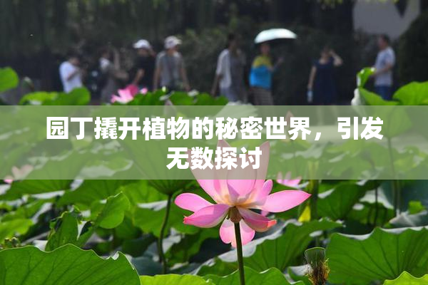 园丁撬开植物的秘密世界，引发无数探讨