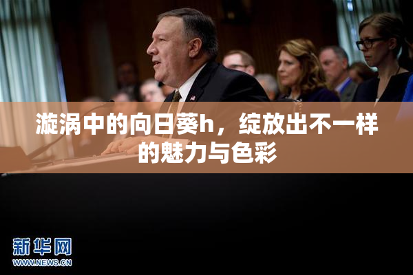 漩涡中的向日葵h，绽放出不一样的魅力与色彩