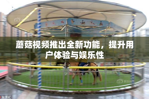 蘑菇视频推出全新功能，提升用户体验与娱乐性