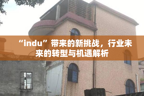 “indu”带来的新挑战，行业未来的转型与机遇解析