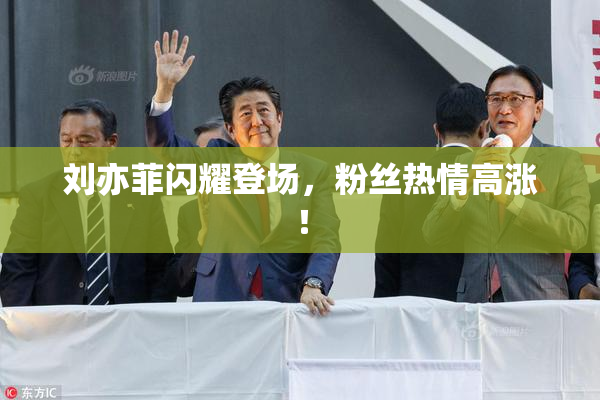 刘亦菲闪耀登场，粉丝热情高涨！