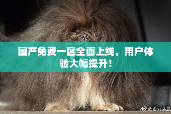 国产免费一区全面上线，用户体验大幅提升！