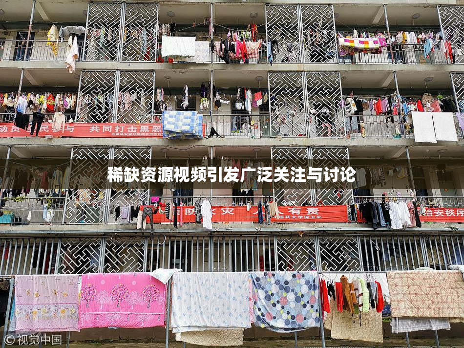 稀缺资源视频引发广泛关注与讨论