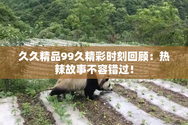 久久精品99久精彩时刻回顾：热辣故事不容错过！