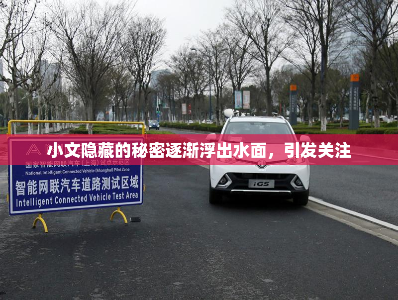 小文隐藏的秘密逐渐浮出水面，引发关注
