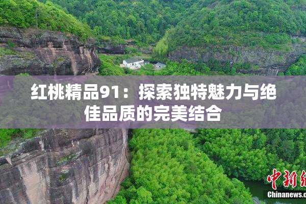 红桃精品91：探索独特魅力与绝佳品质的完美结合
