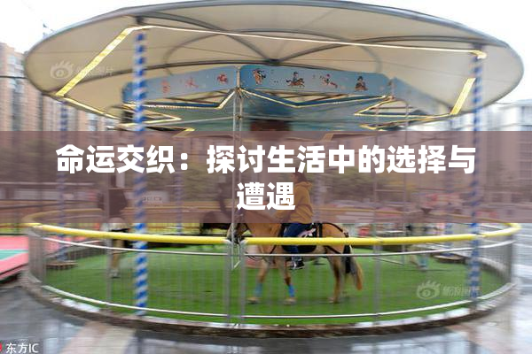 命运交织：探讨生活中的选择与遭遇