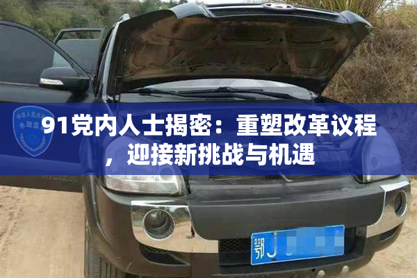 91党内人士揭密：重塑改革议程，迎接新挑战与机遇