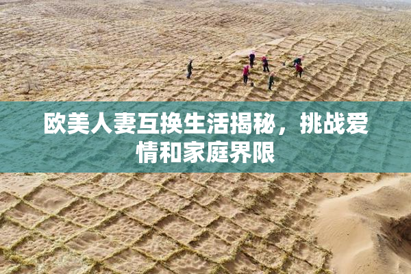 欧美人妻互换生活揭秘，挑战爱情和家庭界限