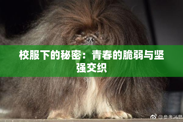 校服下的秘密：青春的脆弱与坚强交织