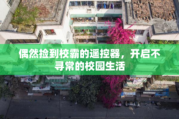 偶然捡到校霸的遥控器，开启不寻常的校园生活