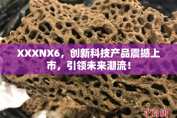 XXXNX6，创新科技产品震撼上市，引领未来潮流！