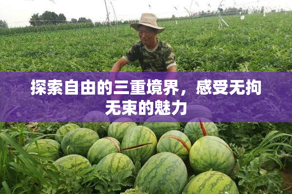 探索自由的三重境界，感受无拘无束的魅力