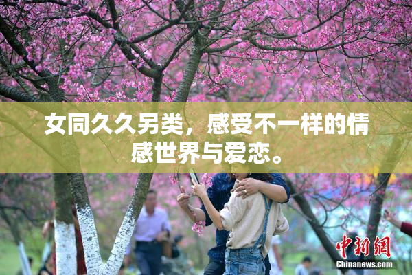 女同久久另类，感受不一样的情感世界与爱恋。
