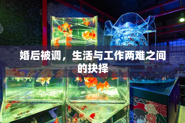 婚后被调，生活与工作两难之间的抉择