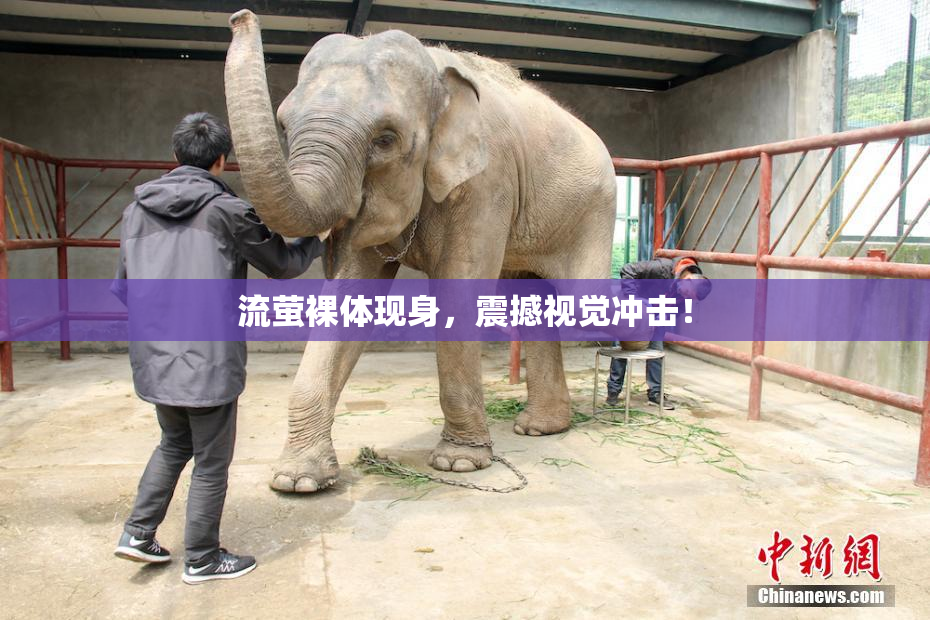 流萤裸体现身，震撼视觉冲击！