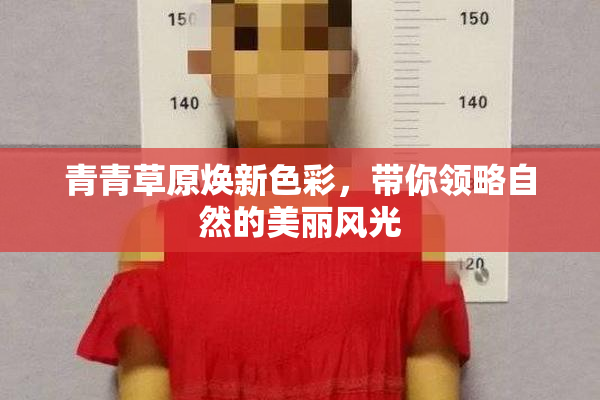 青青草原焕新色彩，带你领略自然的美丽风光