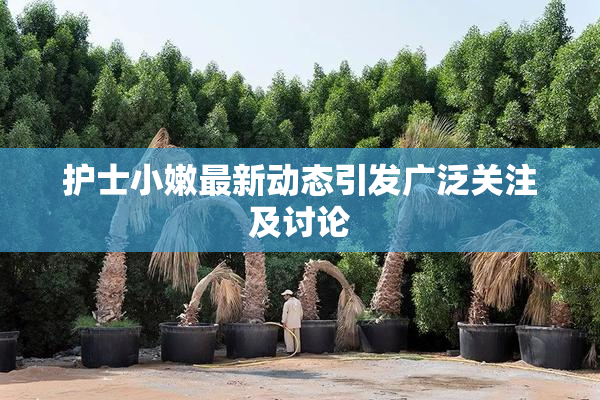 护士小嫩最新动态引发广泛关注及讨论