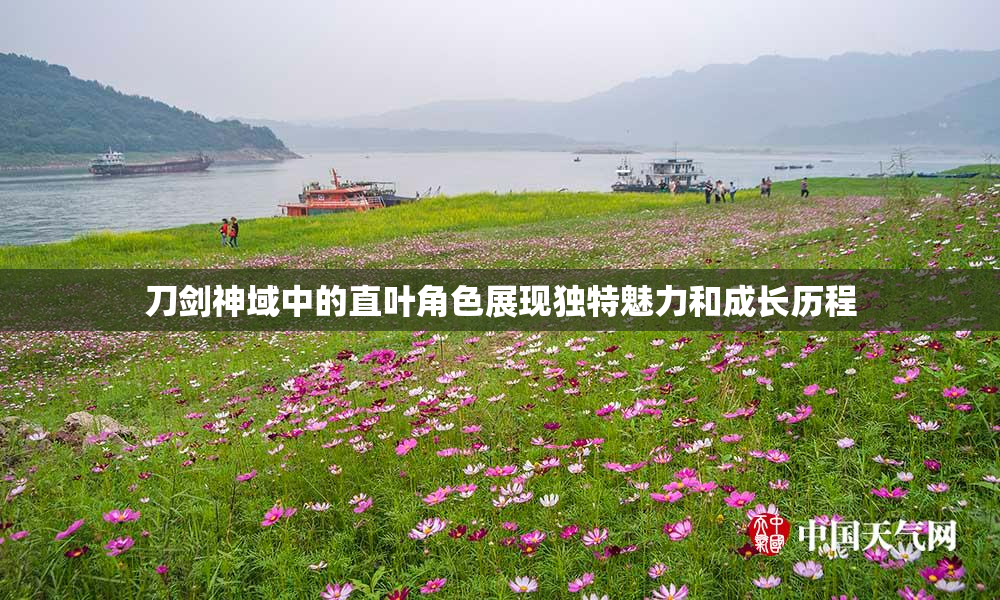 刀剑神域中的直叶角色展现独特魅力和成长历程