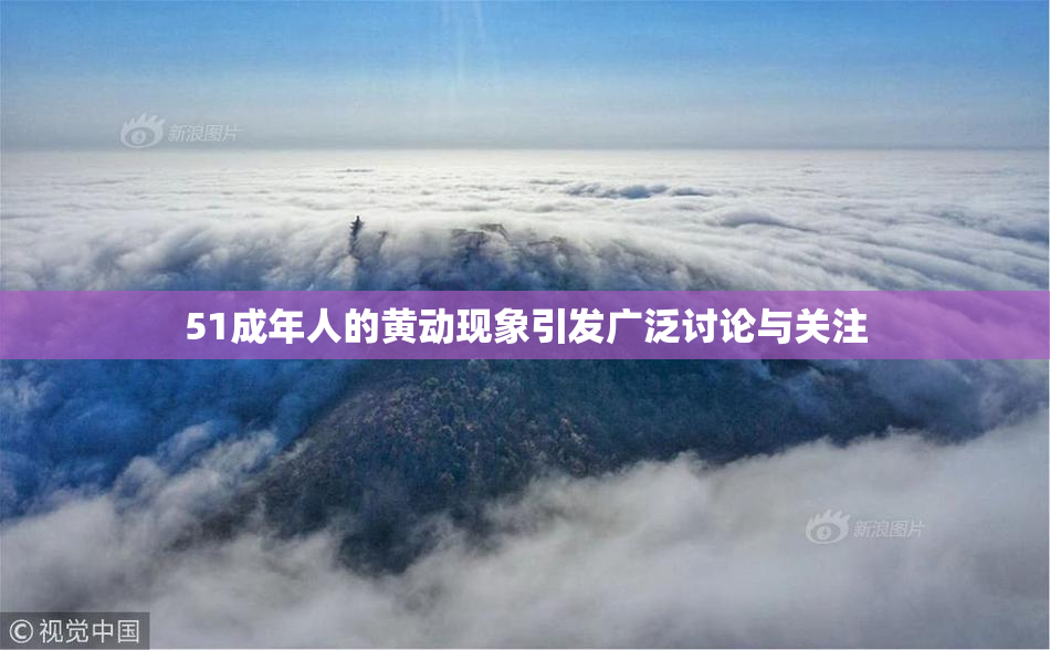 51成年人的黄动现象引发广泛讨论与关注