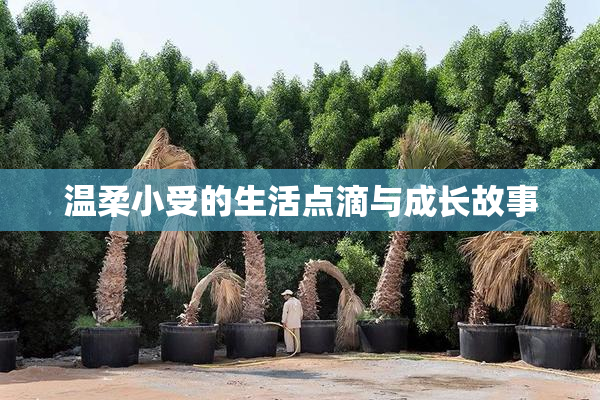 温柔小受的生活点滴与成长故事