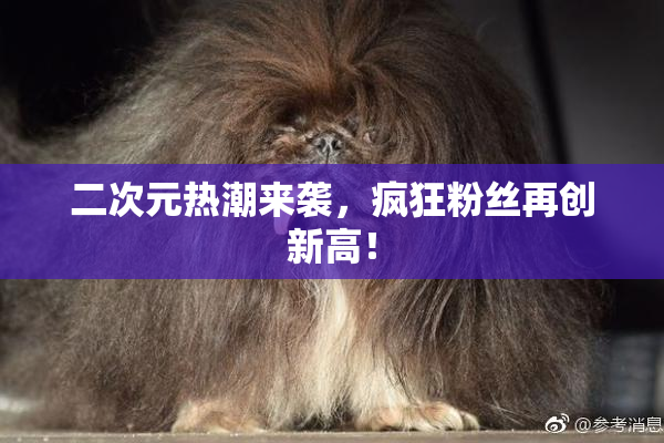 二次元热潮来袭，疯狂粉丝再创新高！