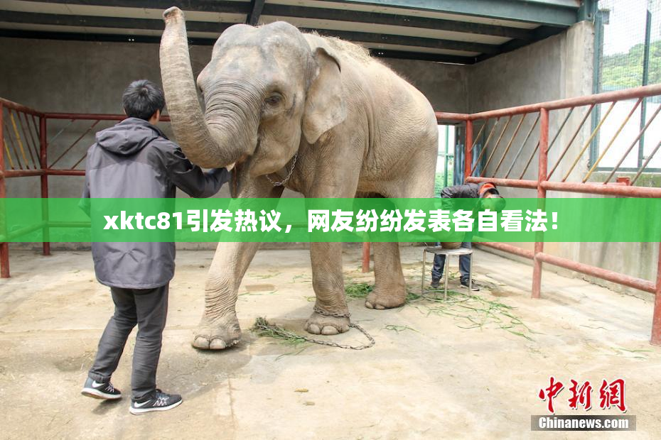 xktc81引发热议，网友纷纷发表各自看法！