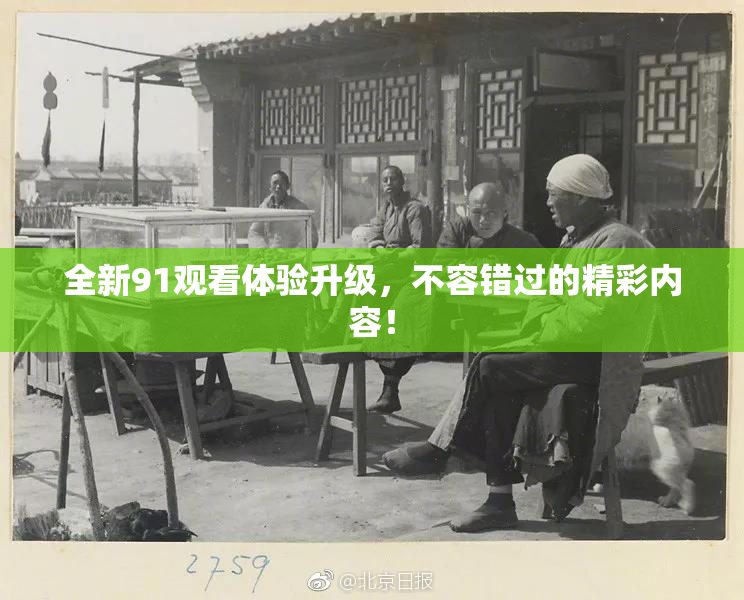 全新91观看体验升级，不容错过的精彩内容！