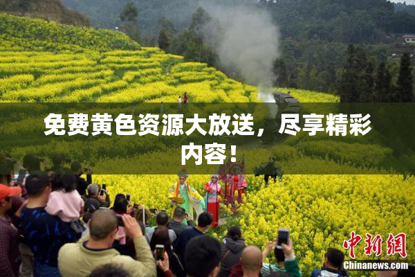 免费黄色资源大放送，尽享精彩内容！
