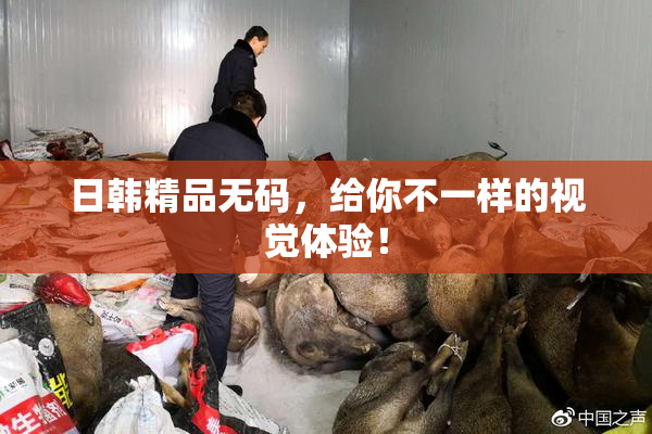 日韩精品无码，给你不一样的视觉体验！