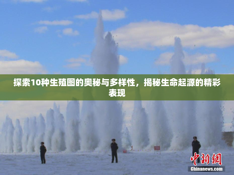 探索10种生殖图的奥秘与多样性，揭秘生命起源的精彩表现