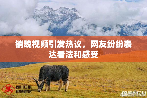 销魂视频引发热议，网友纷纷表达看法和感受