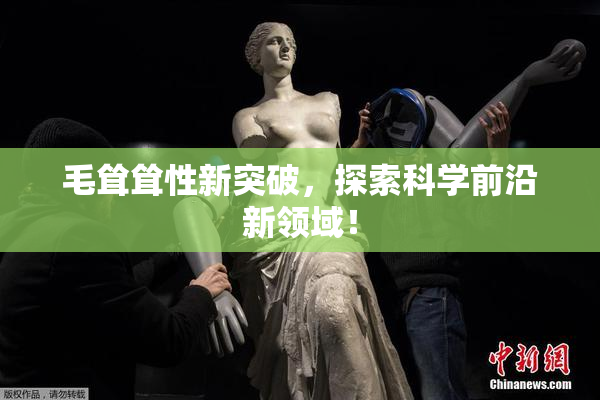 毛耸耸性新突破，探索科学前沿新领域！