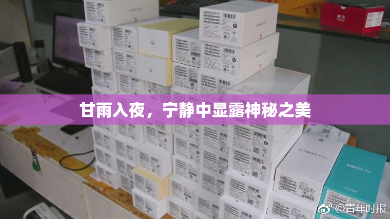 甘雨入夜，宁静中显露神秘之美