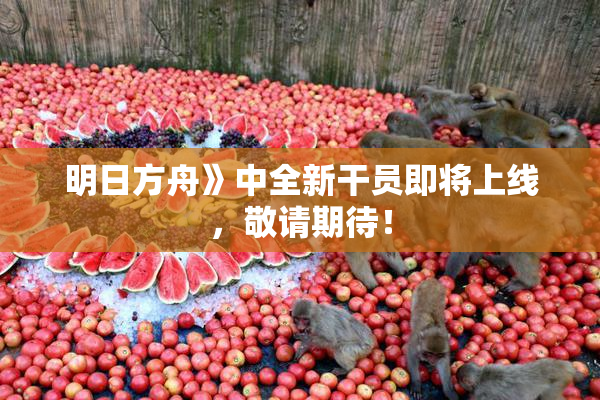明日方舟》中全新干员即将上线，敬请期待！