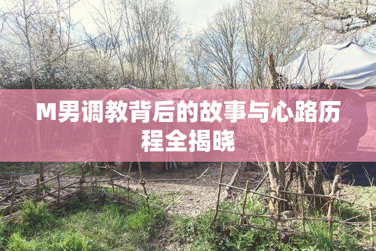 M男调教背后的故事与心路历程全揭晓
