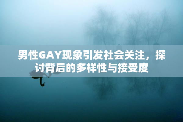 男性GAY现象引发社会关注，探讨背后的多样性与接受度