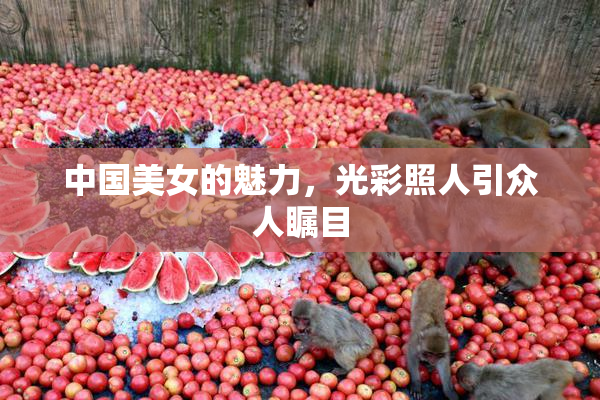 中国美女的魅力，光彩照人引众人瞩目