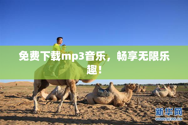 免费下载mp3音乐，畅享无限乐趣！
