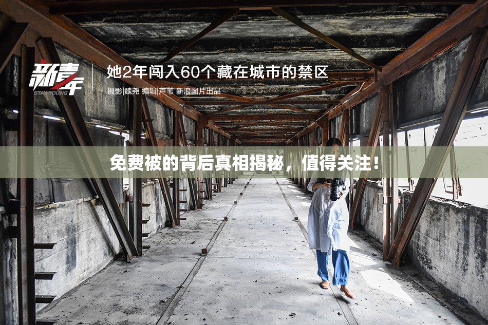 免费被的背后真相揭秘，值得关注！