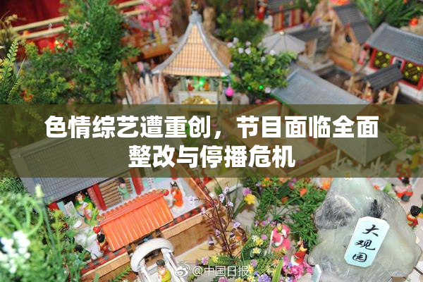 色情综艺遭重创，节目面临全面整改与停播危机
