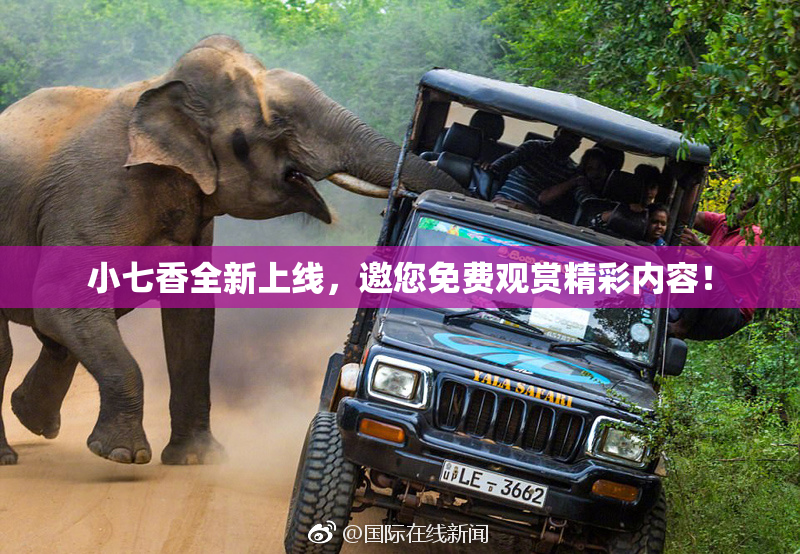 小七香全新上线，邀您免费观赏精彩内容！