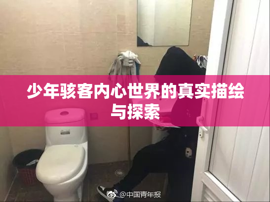 少年骇客内心世界的真实描绘与探索