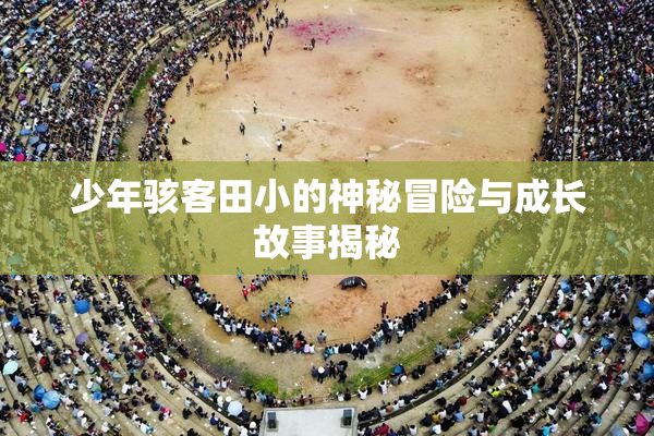 少年骇客田小的神秘冒险与成长故事揭秘