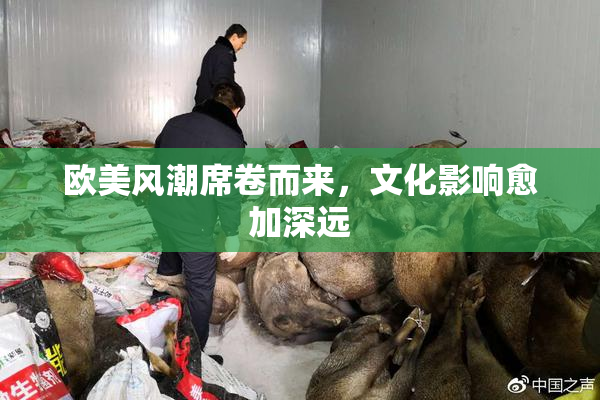 欧美风潮席卷而来，文化影响愈加深远