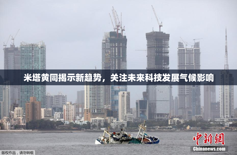 米塔黄同揭示新趋势，关注未来科技发展气候影响