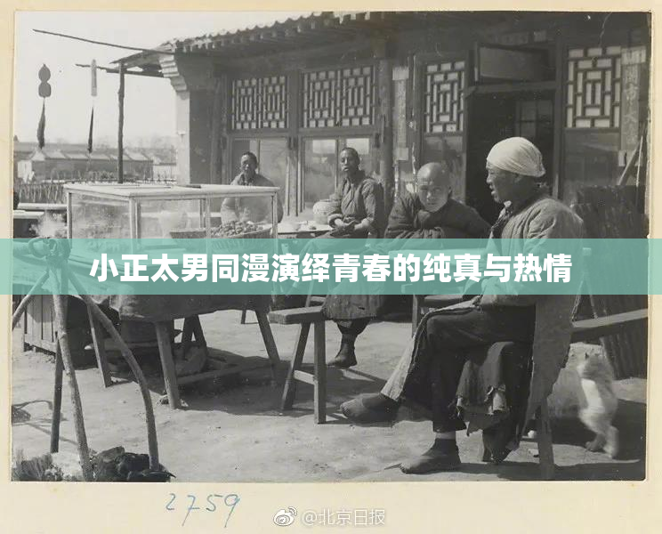 小正太男同漫演绎青春的纯真与热情