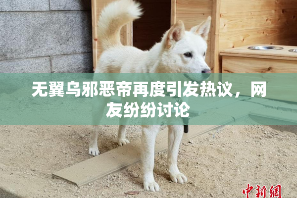 无翼乌邪恶帝再度引发热议，网友纷纷讨论
